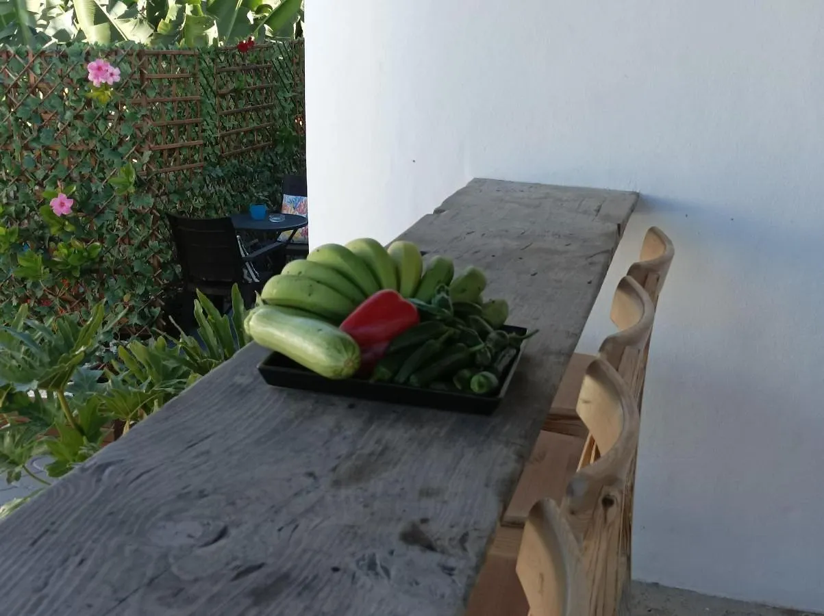 Tatil Evi Vista Valle La Orotava İspanya