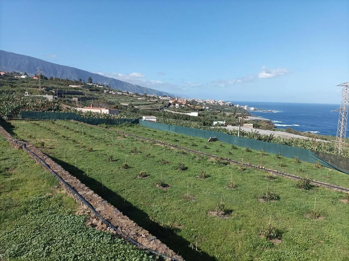 Vista Valle La Orotava